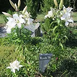 Holiday home Le Clos Brayon *