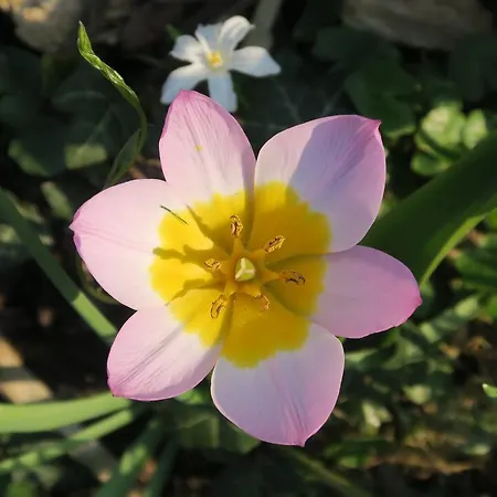 Hébergement de vacances Le Clos Brayon *